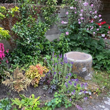 Herb Cottage Bradford-On-Avon Eksteriør billede